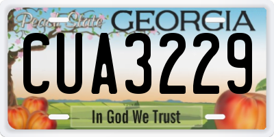 GA license plate CUA3229