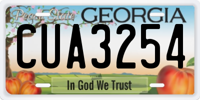 GA license plate CUA3254