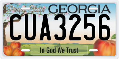 GA license plate CUA3256