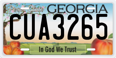GA license plate CUA3265