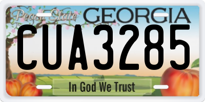 GA license plate CUA3285