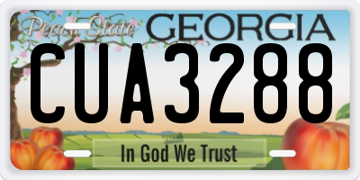GA license plate CUA3288