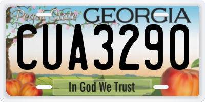 GA license plate CUA3290