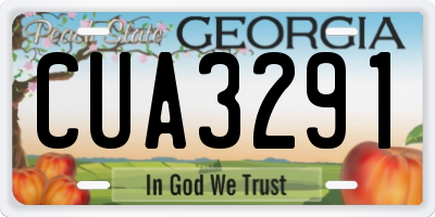 GA license plate CUA3291