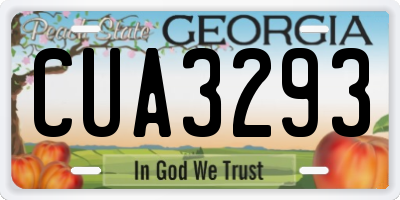 GA license plate CUA3293