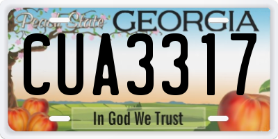 GA license plate CUA3317