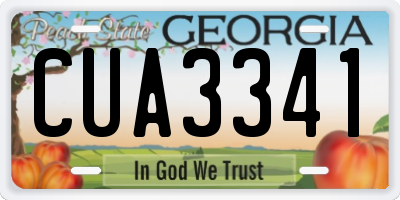 GA license plate CUA3341