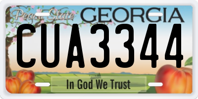 GA license plate CUA3344
