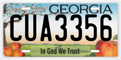 GA license plate CUA3356