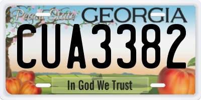 GA license plate CUA3382