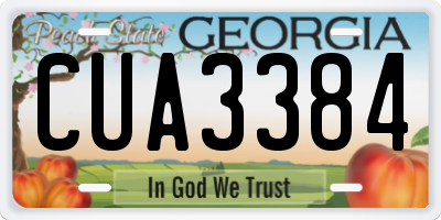 GA license plate CUA3384