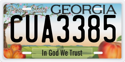 GA license plate CUA3385