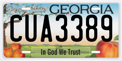 GA license plate CUA3389