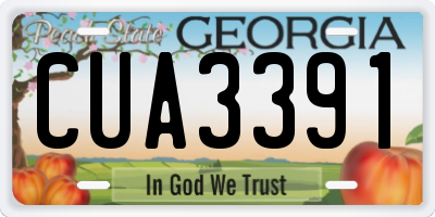 GA license plate CUA3391