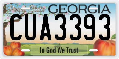 GA license plate CUA3393