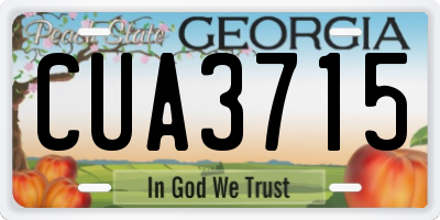 GA license plate CUA3715