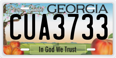 GA license plate CUA3733