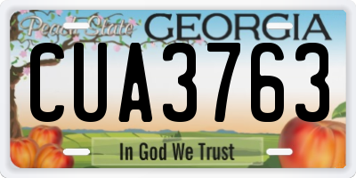 GA license plate CUA3763