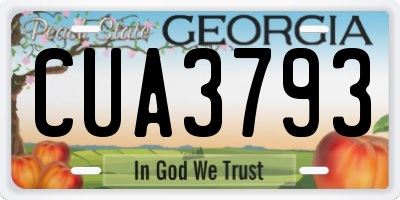 GA license plate CUA3793