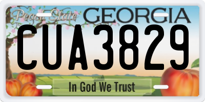 GA license plate CUA3829