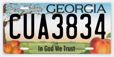 GA license plate CUA3834