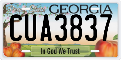 GA license plate CUA3837