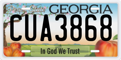 GA license plate CUA3868