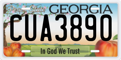 GA license plate CUA3890