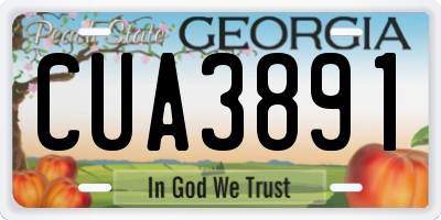 GA license plate CUA3891