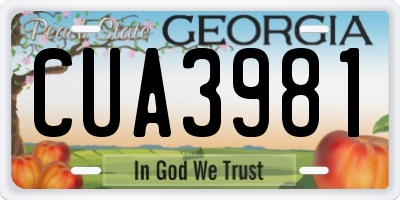 GA license plate CUA3981