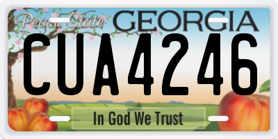 GA license plate CUA4246