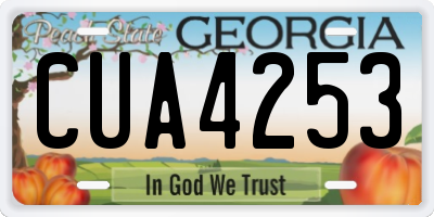 GA license plate CUA4253