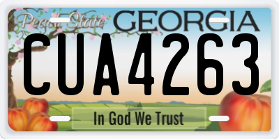 GA license plate CUA4263