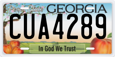 GA license plate CUA4289