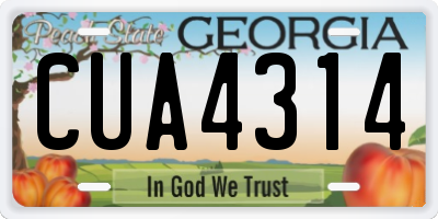 GA license plate CUA4314