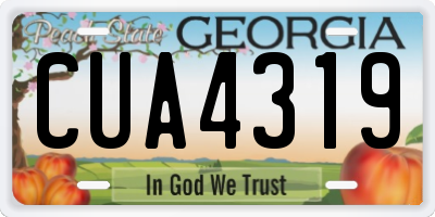GA license plate CUA4319