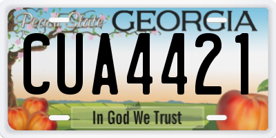 GA license plate CUA4421