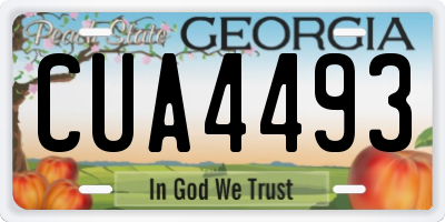 GA license plate CUA4493