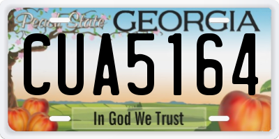 GA license plate CUA5164