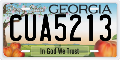 GA license plate CUA5213