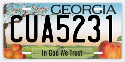 GA license plate CUA5231