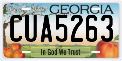 GA license plate CUA5263