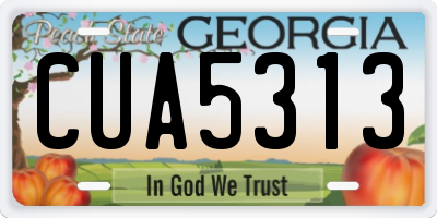 GA license plate CUA5313