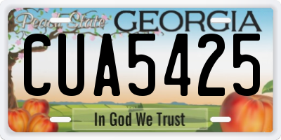GA license plate CUA5425