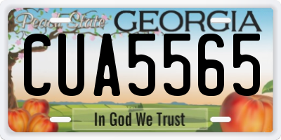GA license plate CUA5565