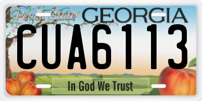 GA license plate CUA6113