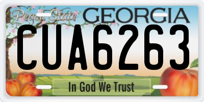 GA license plate CUA6263