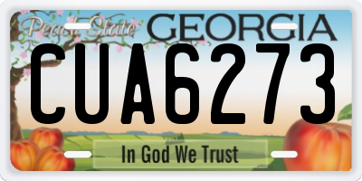 GA license plate CUA6273