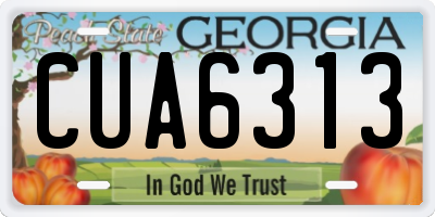 GA license plate CUA6313