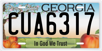GA license plate CUA6317